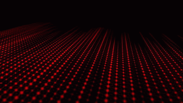 14 نکته کلیدی و 5 مدل از بهترین قلاده برای گربه: راهنمای جامع خرید